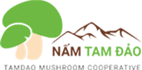 GIỚI THIỆU VỀ NẤM TAM ĐẢO, ĐÔNG TRÙNG HẠ THẢO TAM ĐẢO