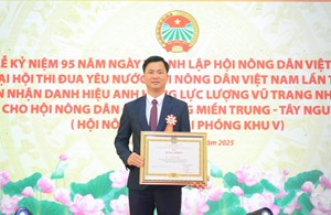 Nông dân Nguyễn Quốc Huy từ trang trại nấm đến chuỗi liên kết vùng