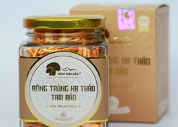 Đông Trùng Hạ Thảo Tam Đảo Sấy thăng hoa - 10 g