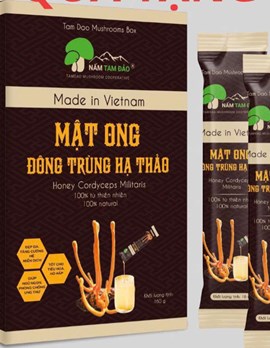 Mật ong đông trùng hạ thảo ( 10 gói/ hộp)